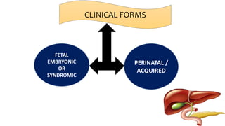 CLINICAL FORMS
FETAL
EMBRYONIC
OR
SYNDROMIC
PERINATAL /
ACQUIRED
 