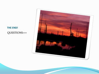 THE END!QUESTIONS?????