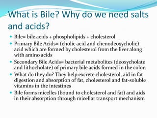 What is Bile? Why do we need salts and acids?Bile= bile acids + phospholipids + cholesterolPrimary Bile Acids= (cholic acid and chenodeoxycholic) acid which are formed by cholesterol from the liver along with amino acidsSecondary Bile Acids= bacterial metabolites (deoxycholate and lithocholate) of primary bile acids formed in the colonWhat do they do? They help excrete cholesterol, aid in fat digestion and absorption of fat, cholesterol and fat-soluble vitamins in the intestinesBile forms micelles (bound to cholesterol and fat) and aids in their absorption through micellar transport mechanism