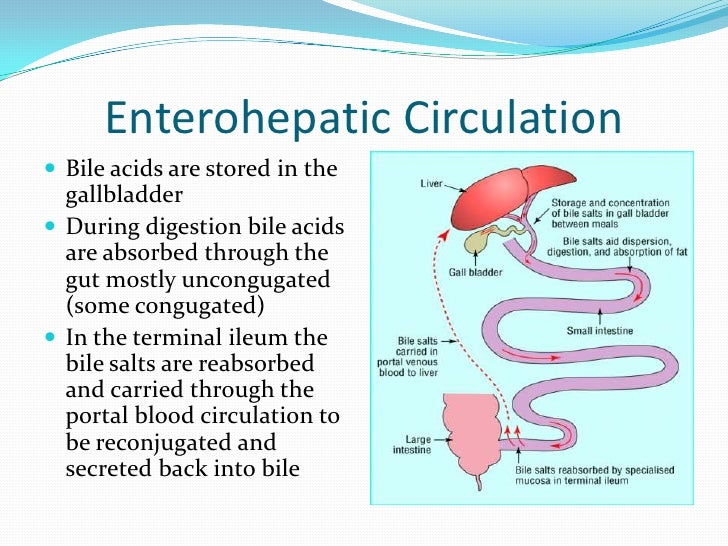 Biliary Disease