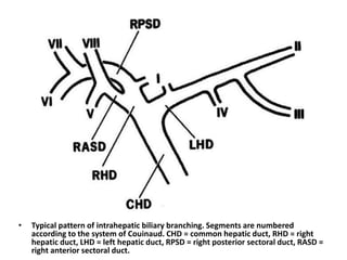 • Typical pattern of intrahepatic biliary branching. Segments are numbered 
according to the system of Couinaud. CHD = common hepatic duct, RHD = right 
hepatic duct, LHD = left hepatic duct, RPSD = right posterior sectoral duct, RASD = 
right anterior sectoral duct. 
 