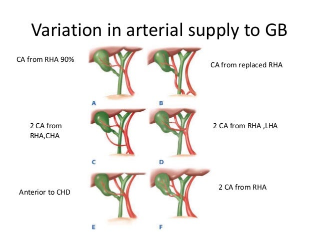 Biliary system anatomy,physiology & investigations