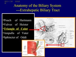 Biliary tract 2011 | PPT