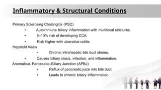 Comprehensive Overview of Biliary Tract Cancer: Types, Anatomy, and ...
