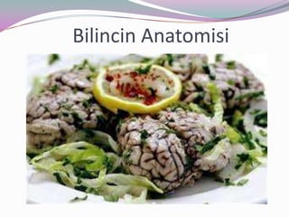 Bilincin Anatomisi
 