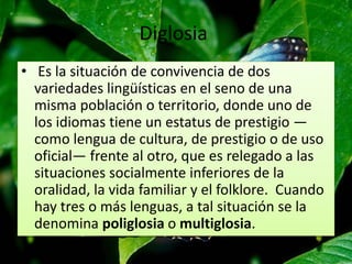 Diglosia 
• Es la situación de convivencia de dos 
variedades lingüísticas en el seno de una 
misma población o territorio, donde uno de 
los idiomas tiene un estatus de prestigio — 
como lengua de cultura, de prestigio o de uso 
oficial— frente al otro, que es relegado a las 
situaciones socialmente inferiores de la 
oralidad, la vida familiar y el folklore. Cuando 
hay tres o más lenguas, a tal situación se la 
denomina poliglosia o multiglosia. 
 