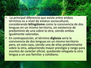 Diferencia entre bilingüismo y diglosia 
• La principal diferencia que existe entre ambos 
términos es a nivel de estatus sociocultural, 
considerando bilingüismo como la convivencia de dos 
lenguas en un mismo territorio, sin existencia de 
predominio de una sobre la otra, siendo ambas 
igualmente valoradas. 
• En contraposición, el término diglosia sería la 
convivencia de dos lenguas en un mismo territorio 
pero, en este caso, siendo una de ellas predominante 
sobre la otra, adquiriendo mayor prestigio y rango para 
asuntos de carácter oficial, quedando relegada la otra 
lengua a un uso familiar y cotidiano. 
 