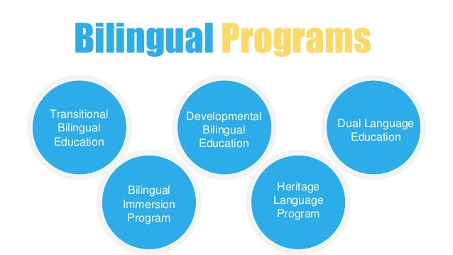 doctoral programs in bilingual education