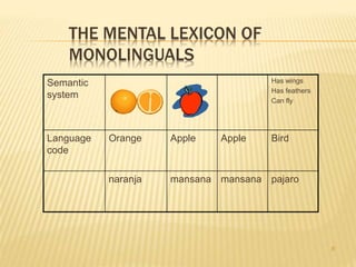 THE MENTAL LEXICON OF
MONOLINGUALS
Semantic
system
Has wings
Has feathers
Can fly
Language
code
Orange Apple Apple Bird
naranja mansana mansana pajaro
8
 