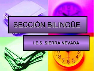 SECCIÓN BILINGÜE  I.E.S. SIERRA NEVADA 