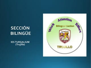 SECCIÓN
BILINGÜE
IES TURGALIUM
(Trujillo)
 