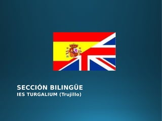 SECCIÓN BILINGÜE
IES TURGALIUM (Trujillo)
 