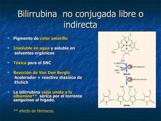 Bilirrubina  no conjugada libre o indirecta Pigmento de  color amarillo Insoluble en agua  y soluble en  solventes orgánicos Tóxica  para el SNC Reacción de Van Den Bergh : Acelerador + reactivo diazóico de  Ehrlich La bilirrubina  viaja unida a la  albúmina**  sérica por el torrente sanguíneo al hígado. ** efecto de fármacos. 