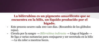 La bilirrubina es un pigmento amarillento que se
encuentra en la bilis, un líquido producido por el
hígado.
- Este proceso ocurre cada 100-120 días. (Recambio de los glóbulos
rojos).
- Circula por la sangre → Bilirrubina indirecta → Llega al hígado →
Se liga a varias sustancias para conjugarse y ser secretada en la bilis
→ Le da color a nuestras heces.
 