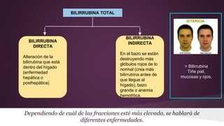 Dependiendo de cuál de las fracciones esté más elevada, se hablará de
diferentes enfermedades.
BILIRRUBINA TOTAL
BILIRRUBINA
DIRECTA
Alteración de la
bilirrubina que está
dentro del hígado
(enfermedad
hepática o
posthepática)
BILIRRUBINA
INDIRECTA
En el bazo se están
destruyendo más
glóbulos rojos de lo
normal (crea más
bilirrubina antes de
que llegue al
hígado), bazo
grande o anemia
hemolítica.
> Bilirrubina
Tiñe piel,
mucosas y ojos.
 