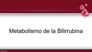 Metabolismo de la Bilirrubina
 