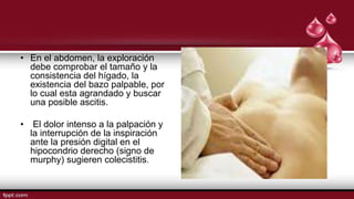 • En el abdomen, la exploración
debe comprobar el tamaño y la
consistencia del hígado, la
existencia del bazo palpable, por
lo cual esta agrandado y buscar
una posible ascitis.
• El dolor intenso a la palpación y
la interrupción de la inspiración
ante la presión digital en el
hipocondrio derecho (signo de
murphy) sugieren colecistitis.
 