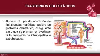 TRASTORNOS COLESTÁTICOS
• Cuando el tipo de alteración de
las pruebas hepáticas sugiere un
problema colestático, el siguiente
paso que se plantea, es averiguar
si la colestasis es intrahepatíca o
extrahepática.
 