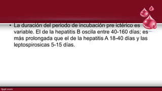 • La duración del periodo de incubación pre ictérico es
variable. El de la hepatitis B oscila entre 40-160 días; es
más prolongada que el de la hepatitis A 18-40 días y las
leptospirosicas 5-15 días.
 