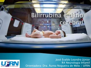 José Evaldo Leandro Júnior 
R4 Neurologia Infantil 
Orientadora: Dra. Áurea Nogueira de Melo / UFRN 
 