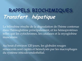 Rappels biochimiquesTransfert  hépatiqueLa bilirubine résulte de la dégradation de l'hème contenue dans l'hémoglobine principalement, et les hémoprotéines telles que les cytochromes, les catalases et la myoglobine musculaire.Au bout d'environ 120 jours, les globules rouges sénescents sont captés et hémolysés par les macrophages du système réticulo-endothélial. 