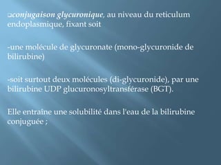sécrétion dans les canalicules biliaires. La bilirubine conjuguée est alors devenue un pigment biliaire qui sera déversé dans l'intestin grêle, comme tous les éléments de la bile.