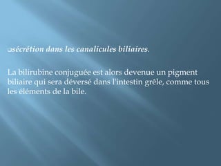 Sort  intestinalL'hydrolyse de la liaison de conjugaison affecte une partie mineure de la bilirubine conjuguée intestinale et libère de la bilirubine libre qui est réabsorbée et rejetée dans la circulation porte, réalisant un cycle entéro-hépatique.
