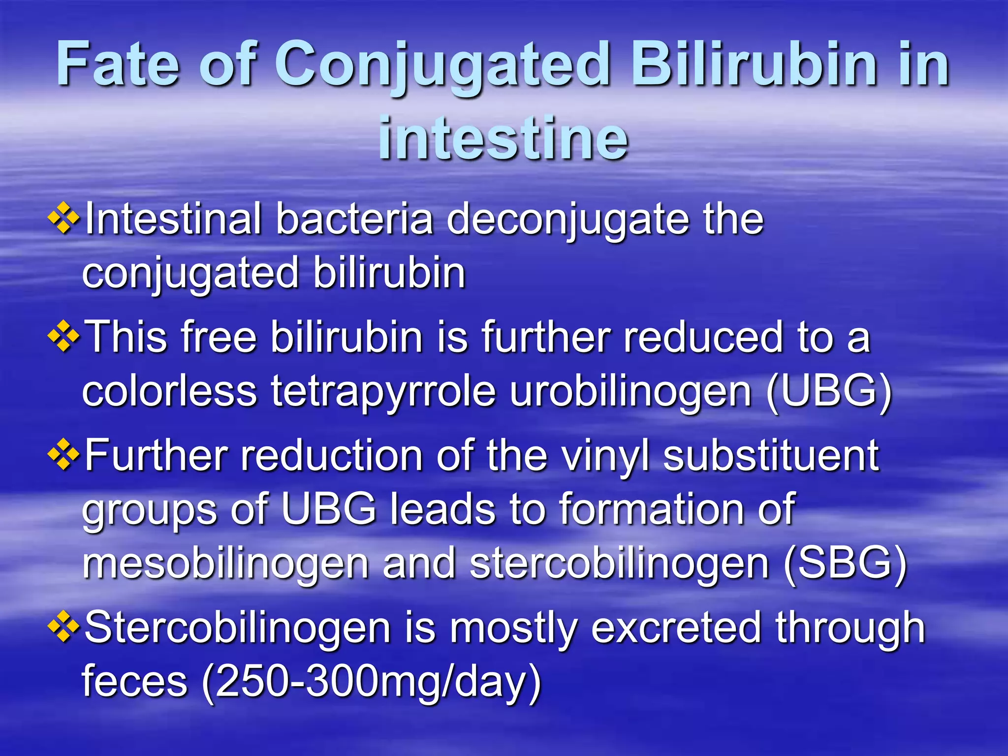 Fate of Conjugated Bilirubin in
intestine
Intestinal bacteria deconjugate the
conjugated bilirubin
This free bilirubin is further reduced to a
colorless tetrapyrrole urobilinogen (UBG)
Further reduction of the vinyl substituent
groups of UBG leads to formation of
mesobilinogen and stercobilinogen (SBG)
Stercobilinogen is mostly excreted through
feces (250-300mg/day)
 