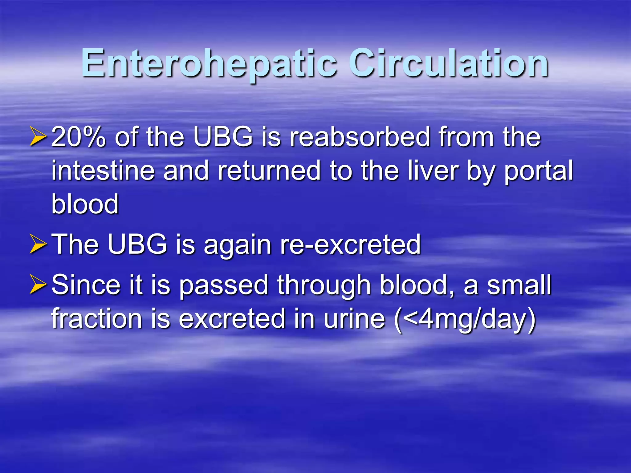 Enterohepatic Circulation
20% of the UBG is reabsorbed from the
intestine and returned to the liver by portal
blood
The UBG is again re-excreted
Since it is passed through blood, a small
fraction is excreted in urine (<4mg/day)
 