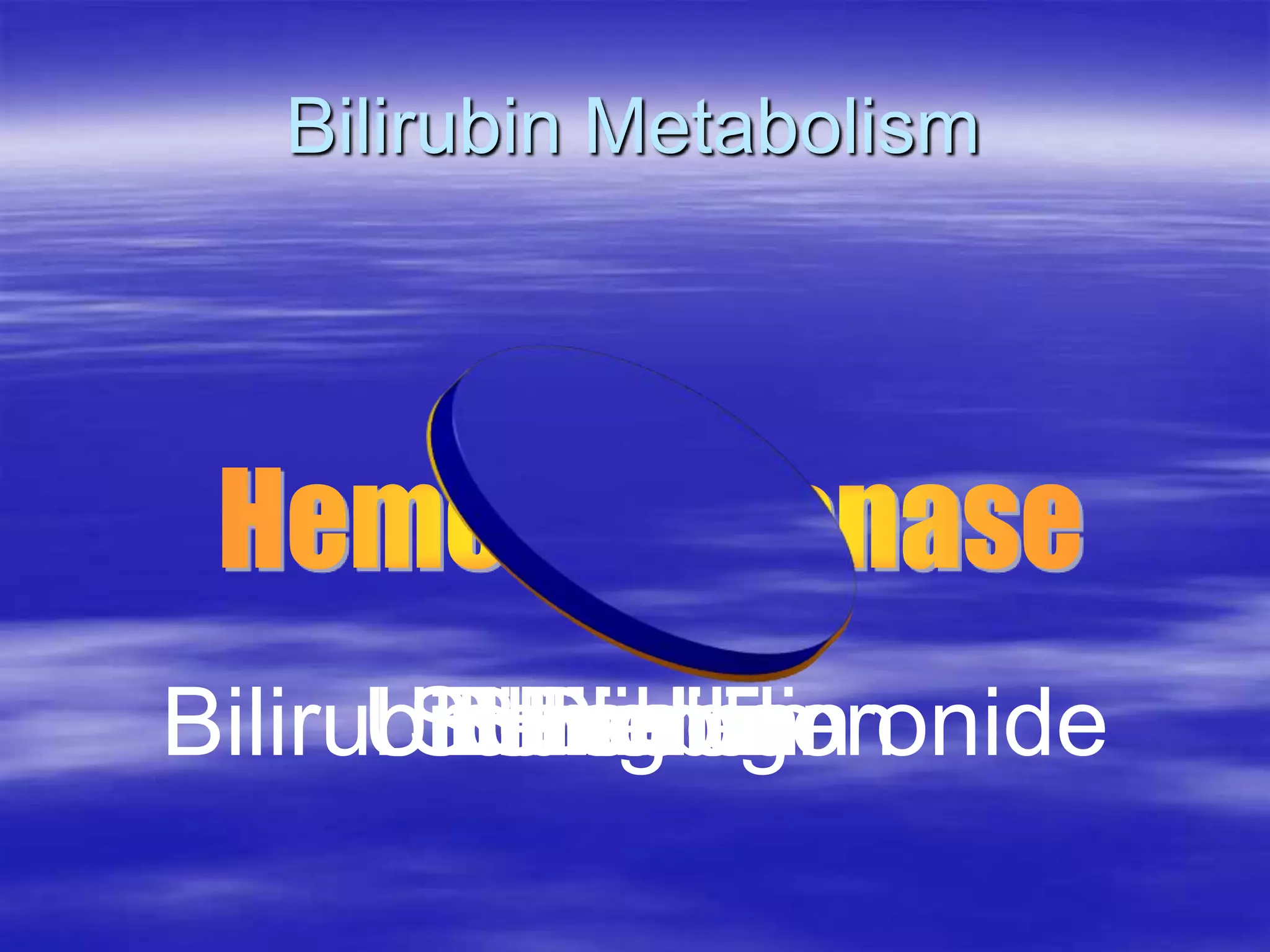 Bilirubin Metabolism
Heme
Biliverdin
Bilirubin
Bilirubin Diglucoronide
Urobilinogen
Urobilin
Stercobilin
 
