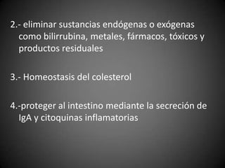 2.- eliminar sustancias endógenas o exógenas
  como bilirrubina, metales, fármacos, tóxicos y
  productos residuales

3.- Homeostasis del colesterol

4.-proteger al intestino mediante la secreción de
  IgA y citoquinas inflamatorias
 