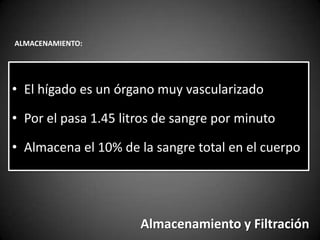 ALMACENAMIENTO:




• El hígado es un órgano muy vascularizado

• Por el pasa 1.45 litros de sangre por minuto

• Almacena el 10% de la sangre total en el cuerpo




                      Almacenamiento y Filtración
 