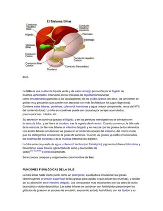 BILIS
La bilis es una sustancia líquida verde y de sabor amargo producida por el hígado de
muchos vertebrados. Interviene en los procesos de digestiónfuncionando
como emulsionante (parecido a los catalizadores) de los ácidos grasos (es decir, las convierten en
gotitas muy pequeñas que pueden ser atacadas con más facilidad por los jugos digestivos).
Contiene sales biliares, proteínas, colesterol, hormonas y agua (mayor componente, cerca del 97%
del contenido total). La bilis en ocasiones puede ser causada por corajes acumulados,
preocupaciones, miedos, etc.
Su secreción es continua gracias al hígado, y en los periodos interdigestivos se almacena en
la vesícula biliar, y se libera al duodeno tras la ingesta dealimentos. Cuando comemos, la bilis sale
de la vesícula por las vías biliares al intestino delgado y se mezcla con las grasas de los alimentos.
Los ácidos biliares emulsionan las grasas en el contenido acuoso del intestino, del mismo modo
que los detergentes emulsionan la grasa de sartenes. Cuando las grasas ya están emulsionadas,
las enzimas del páncreas y de la mucosa intestinal las digieren.
La bilis está compuesta de agua, colesterol, lecitina (un fosfolípido), pigmentos biliares (bilirrubina y
biliverdina), sales biliares (glicocolato de sodio y taurocolato de
sodio)
[cita requerida]
e iones bicarbonato.
Se le conoce coloquial y vulgarmente con el nombre de hiel.
FUNCIONES FISIOLÓGICAS DE LA BILIS
La bilis actúa hasta cierto punto como un detergente, ayudando a emulsionar las grasas
(disminuyendo la tensión superficial de las grasas para ayudar a que actúen las enzimas), y facilitar
así su absorción en el intestino delgado. Los compuestos más importantes son las sales de ácido
taurocólico y ácido deoxicólico. Las sales biliares se combinan con fosfolípidos para romper los
glóbulos de grasa en el proceso de emulsión, asociando su lado hidrofóbico con los lípidos y su
 