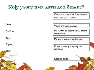 Коју улогу има дати део биљке?
Ствара храну помоћу сунчеве
светлости и топлоте.
Из њега ниче нова биљка.
На њему се развијају цветови
и листови.
Проводи воду и храну до
листова.
Упија воду из земље.
Семе
Стабло
Лист
Корен
Цвет
Ствара семе.
 