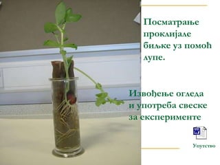 Упутство
Посматрање
проклијале
биљке уз помоћ
лупе.
Извођење огледа
и употреба свеске
за експерименте
 