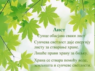 Лист 
Сунце обасјава сваки лист. 
Сунчева светлост даје енергију 
листу за стварање хране. 
Лишће прави храну за биљку. 
Храна се ствара помоћу воде, 
земљишта и сунчеве светлости. 
 
