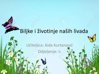 Biljke i životinje naših livada
Učiteljica: Aida Kurtanović
Odjeljenje: I3