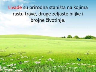 Livade su prirodna staništa na kojima
rastu trave, druge zeljaste biljke i
brojne životinje.