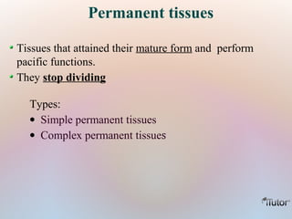 Permanent tissues
Tissues that attained their mature form and perform
pacific functions.
They stop dividing
Types:
• Simple permanent tissues
• Complex permanent tissues
 