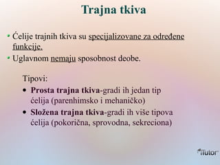 Trajna tkiva
Ćelije trajnih tkiva su specijalizovane za određene
funkcije.
Uglavnom nemaju sposobnost deobe.
Tipovi:
• Prosta trajna tkiva-gradi ih jedan tip
ćelija (parenhimsko i mehaničko)
• Složena trajna tkiva-gradi ih više tipova
ćelija (pokorična, sprovodna, sekreciona)
 