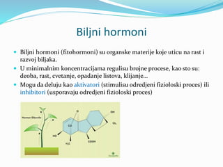 Biljni hormoni.pptx