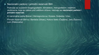  Nacionalni parkovi i prirodni rezervati BiH
- Područja sa izuzetnim biogeografskim, klimatskim, hidrografskim i reljefnim
osobinama, koja se nalaze pod zaštitom države, nazivaju se nacionalni parkovi i
prirodni rezervati;
- tri nacionalna parka Bosne i Hercegovine su: Kozara, Sutjeska i Una;
- Prirodni rezervati BiH su: Bardača (Srbac), Hutovo blato (Čapljina), Janj (Šipovo) i
Lom (Klekovača);
 