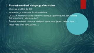 2. Planinsko-kotlinska biogeografska oblast
- Obuhvata središnji dio BiH;
- karakterišu ga raznovrsne šumske zajednice;
- Do 900 m nadmorske visine su bukove, hrastove i grabove šume, dok su iznad
četinarske šume ( jela, smrča, bor );
- Životinje ove oblasti: divokoze, medvjedi, vukovi, srne, jazavci, zečevi, lisice,... ;
- Ptičije vrste: orao, soko, jastreb,...;
 