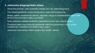 3. Jadranska biogeografska oblast
- Obuhvata primorje, nisko jadransko zaledje kao i dio Jadranskog mora;
- Ovu oblast karakterišu visoke temperature, mala količina padavina;
- Makije, palme, mediteranski četinari, olijanderi i drugo su karakteristične biljne vrste
prisutne na primorskom dijelu ove oblasti;
- Nisko jadransko zaledje karakterišu degradirane šume cera, jasena i graba;
- Životinjski svijet ovog podrjučja karakteriše veliki broj gmizavaca ( zmije i gušteri),
insekata kao i odredjeni broj ptičijih vrsta ( galeb );
- Jadransko more obiluje velikim brojem riba, školjki i rakova;
 