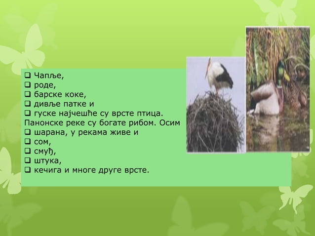 Biljni i zivotinjski svet | PPT