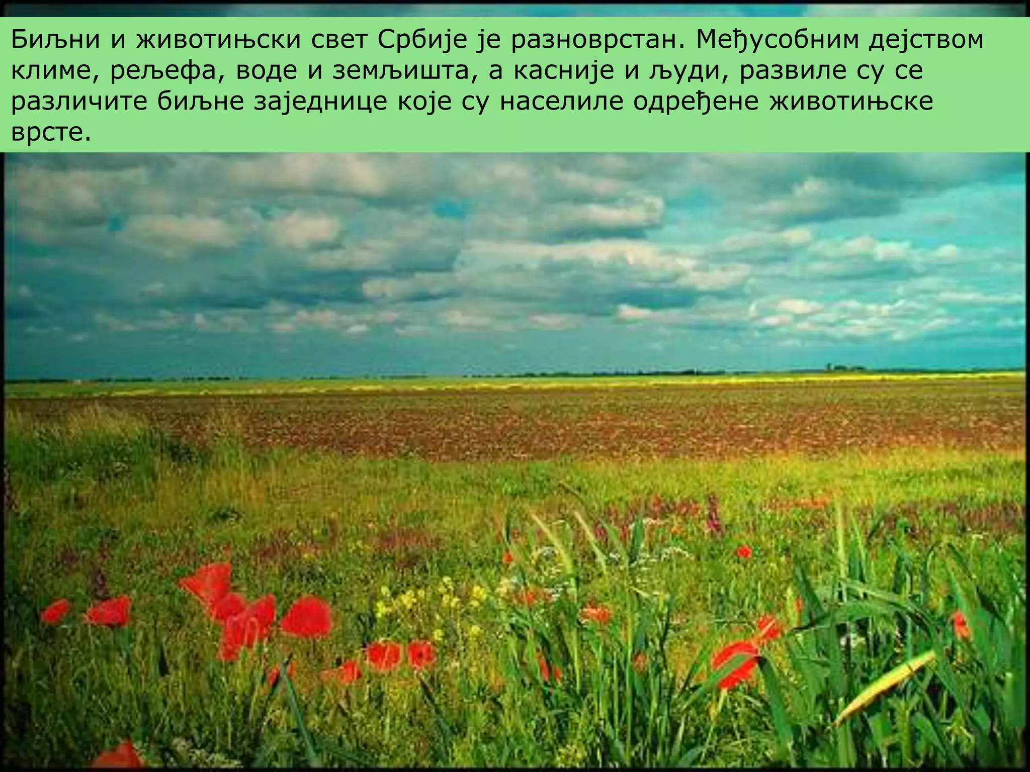 Biljni i zivotinjski svet | PPTX