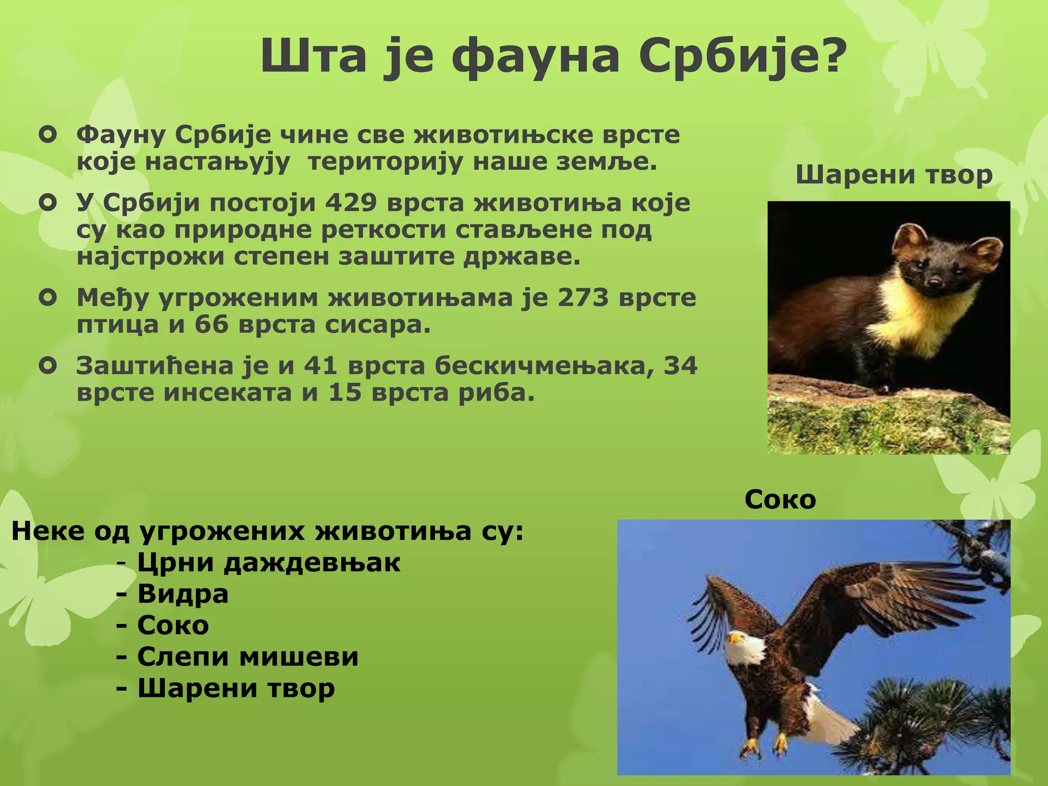 Biljni i zivotinjski svet | PPT