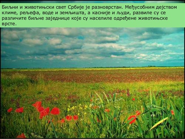 Biljni i zivotinjski svet