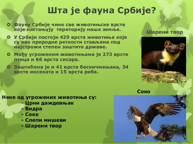 Biljni i zivotinjski svet