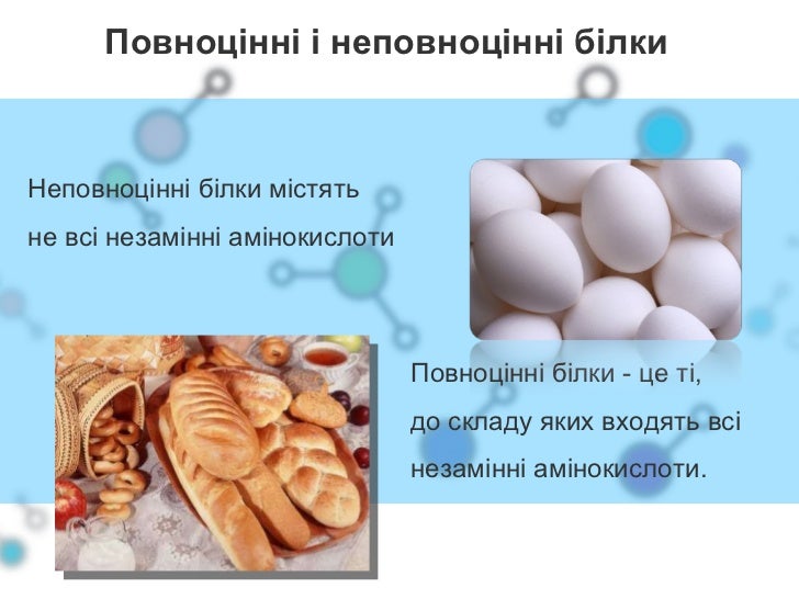 Білки
